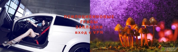 кокс Богородск