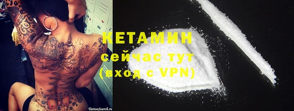 крисы Богородицк