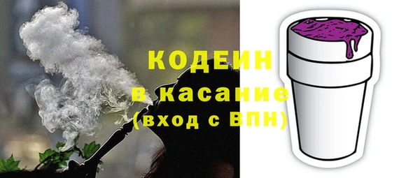 крисы Богородицк