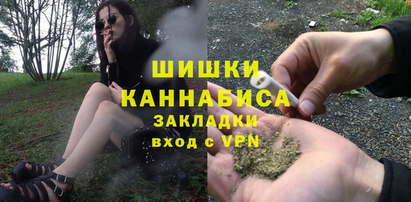 крисы Богородицк