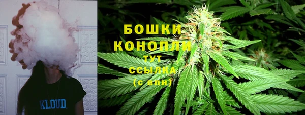 метадон Богданович