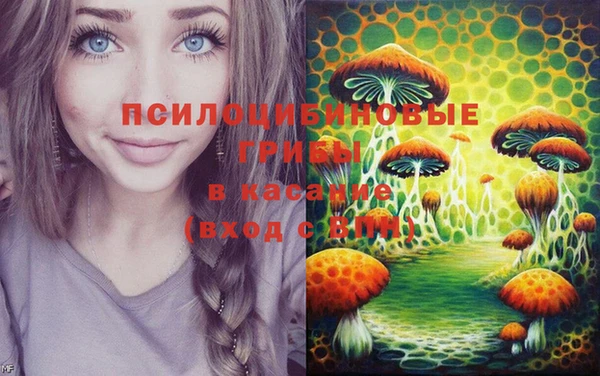 метадон Богданович
