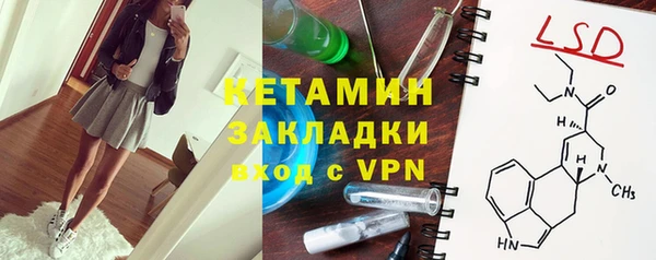 крисы Богородицк