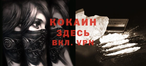 крисы Богородицк